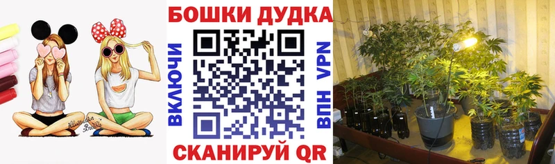 Канабис MAZAR  наркотики  KRAKEN ссылки  Кимры 